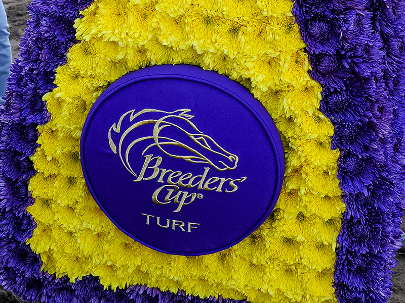 Jeremy Plonk Breeders' Cup Post Position Draw Reaction Monday
