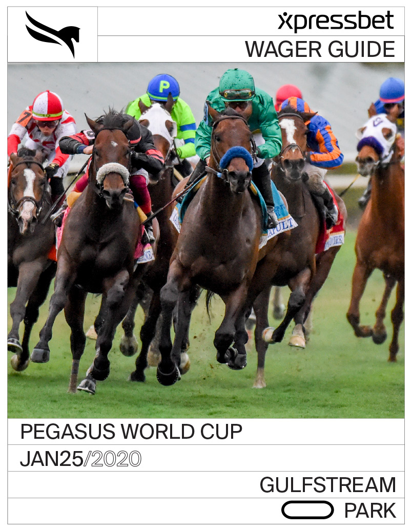 Pegasus World Cup Wager Guide Xpressbet