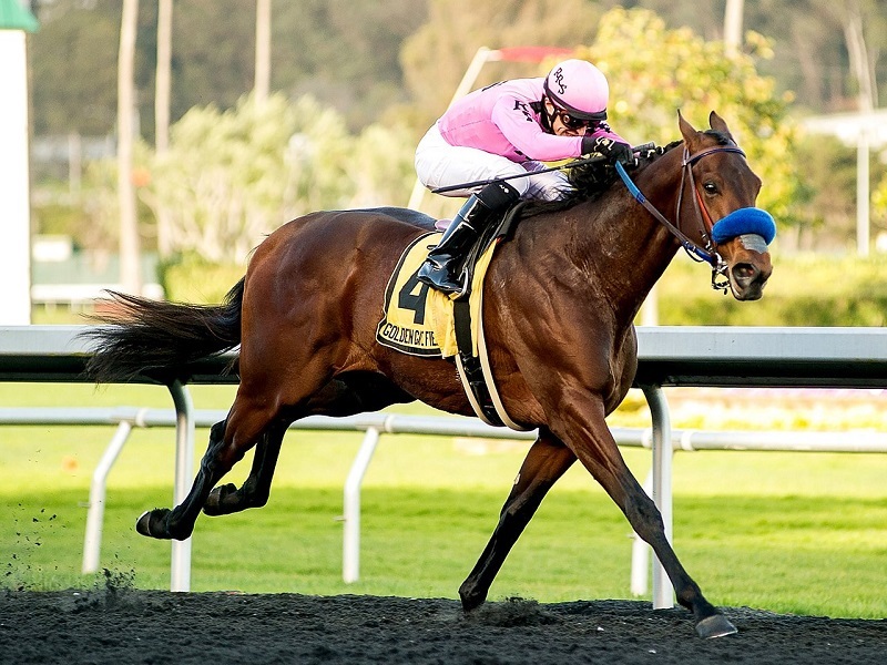 Plan Golden gate fields workouts at Home for Girl