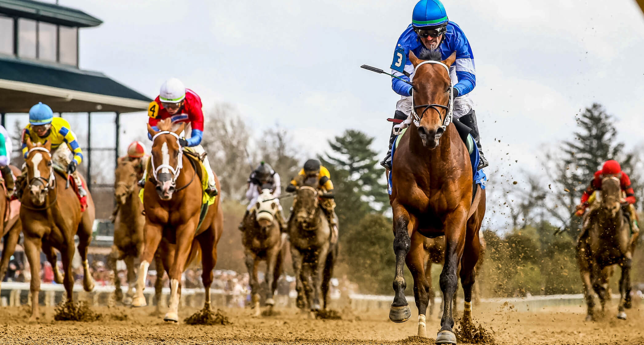 Kentucky Derby Prep Races Betting Promotions Xpressbet